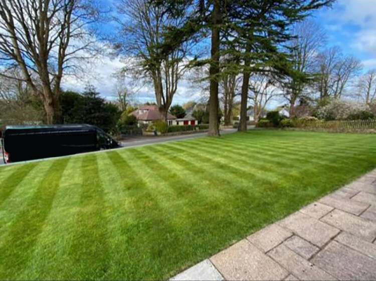 lawn cutting