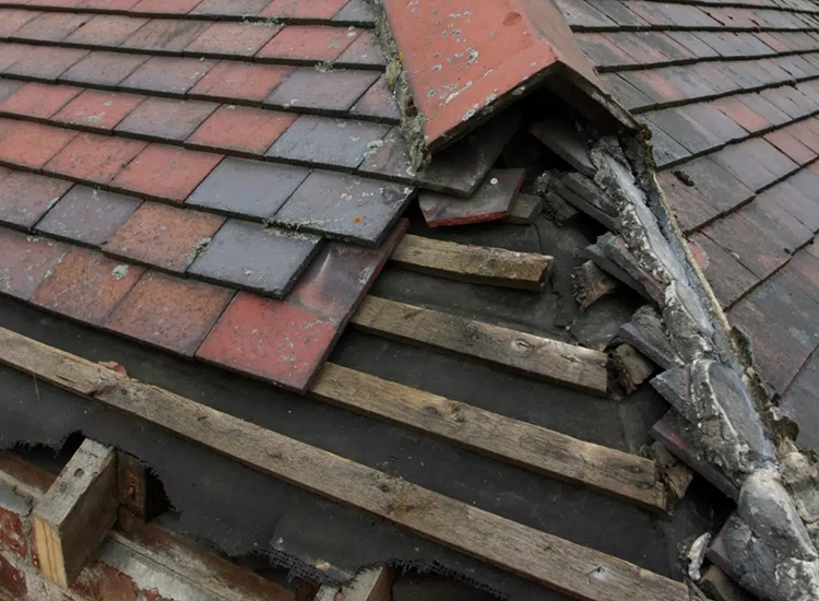 roof repairs
