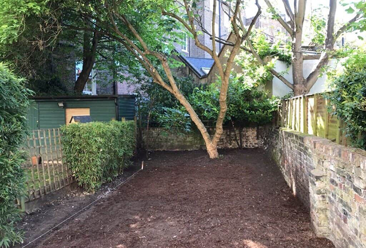 yard clearing service